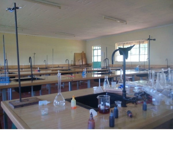 School Location